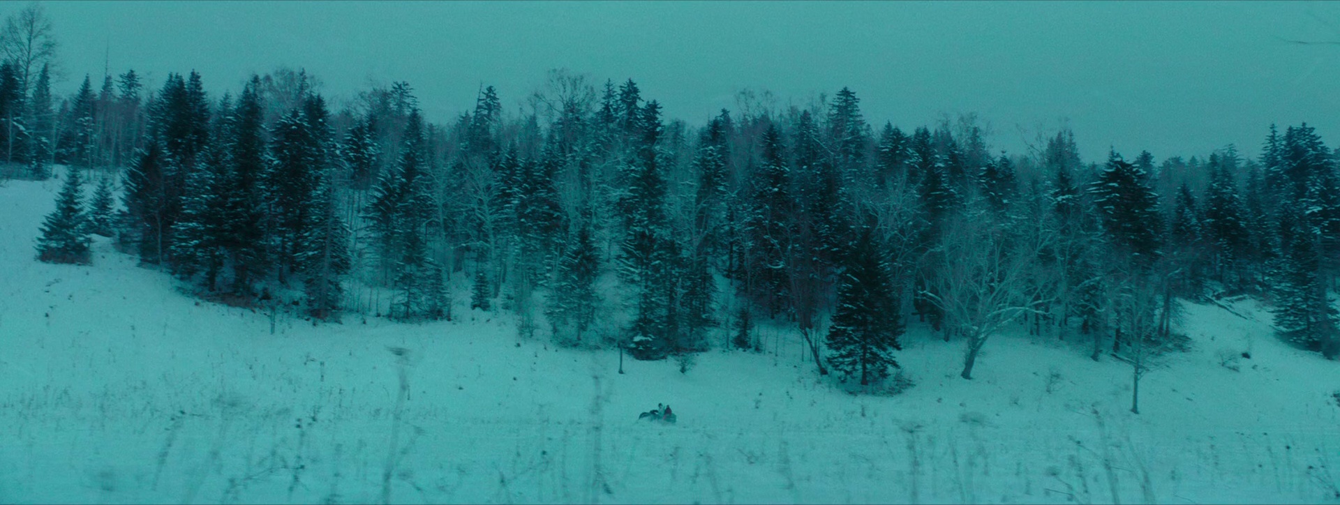 雪暴 [国语配音].Savage.2018.BluRay.1080p.DTS-HDM A5.1.x265.10bit-DreamHD 7.29GB-5.png