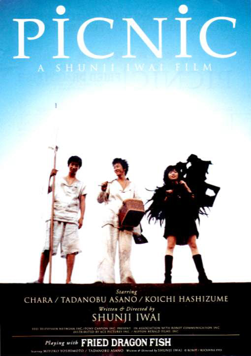 梦旅人 [中文字幕].PicNic.1996.BluRay.1080p.DTS-HD.MA.2.0.x265.10bit-Dream HD 3.85GB-1.png