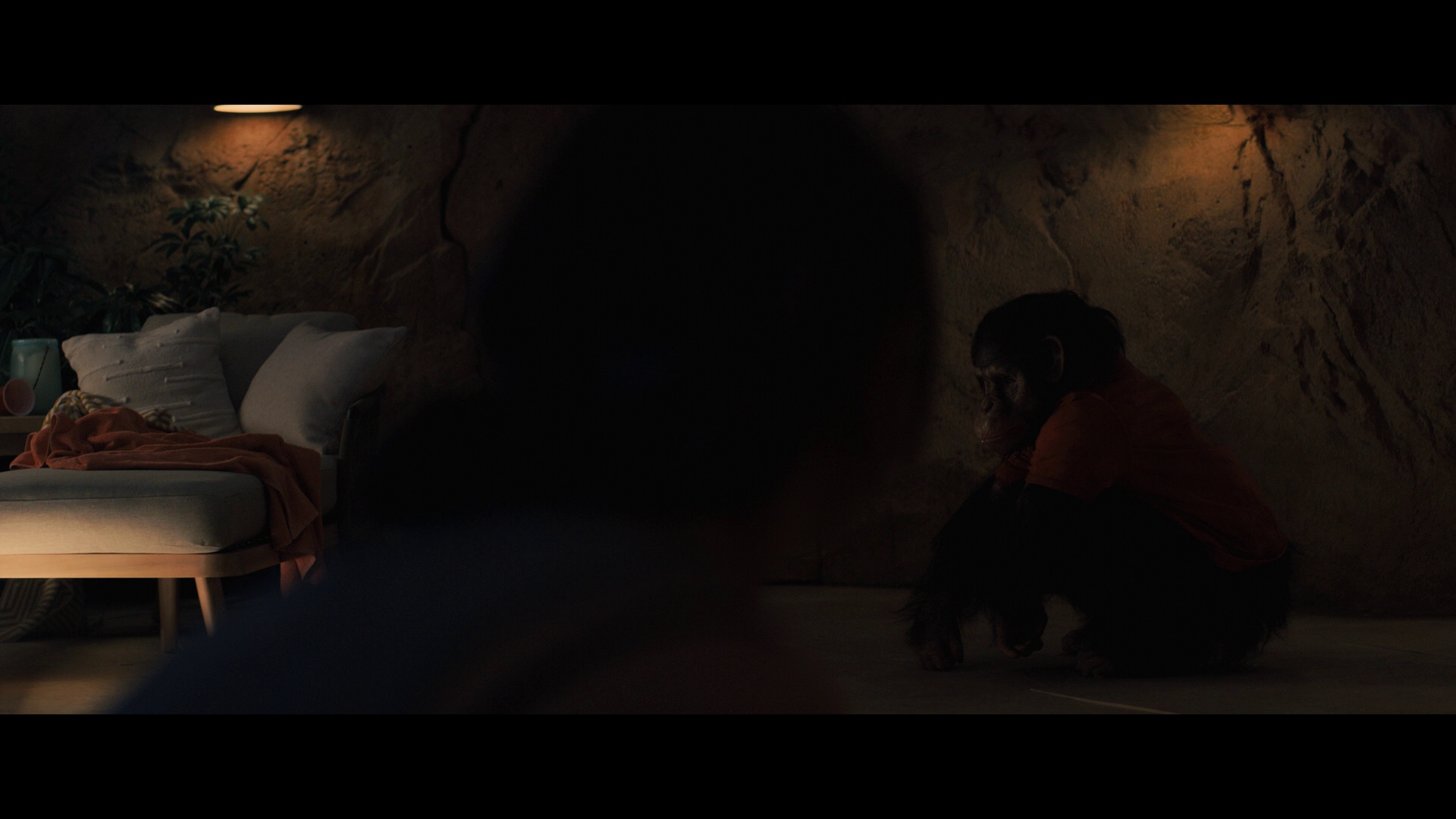 猩疯血雨 [中文字幕].Primate.2025.REMUX.Bluray.1080p.AVC.TrueHD7.1-DreamHD 23.93GB-4.png