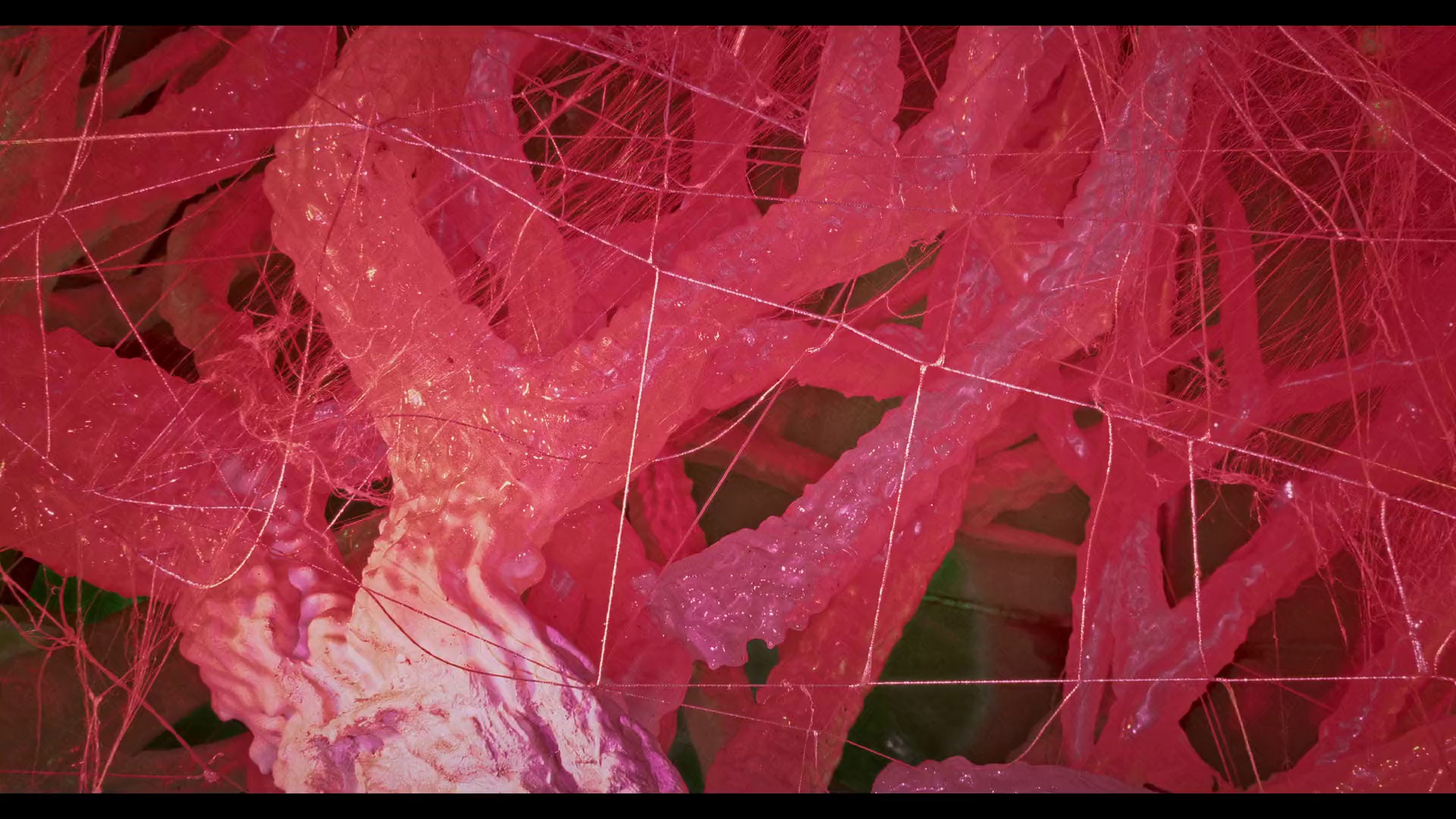 怪诞鬼作家 [中文字幕].I.Am.Frankelda.2025.1080p.NF.WEB-DL.DDP5.1.H264-PandaQT 6.09GB-6.png