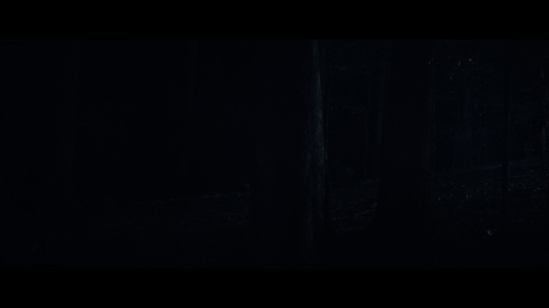 恐惧街3 [简繁英字幕].Fear.Street.1666.2021.1080p.NF.WEB-DL.DDP5.1.Atmos.H264-PandaQT 5.07GB-4.png