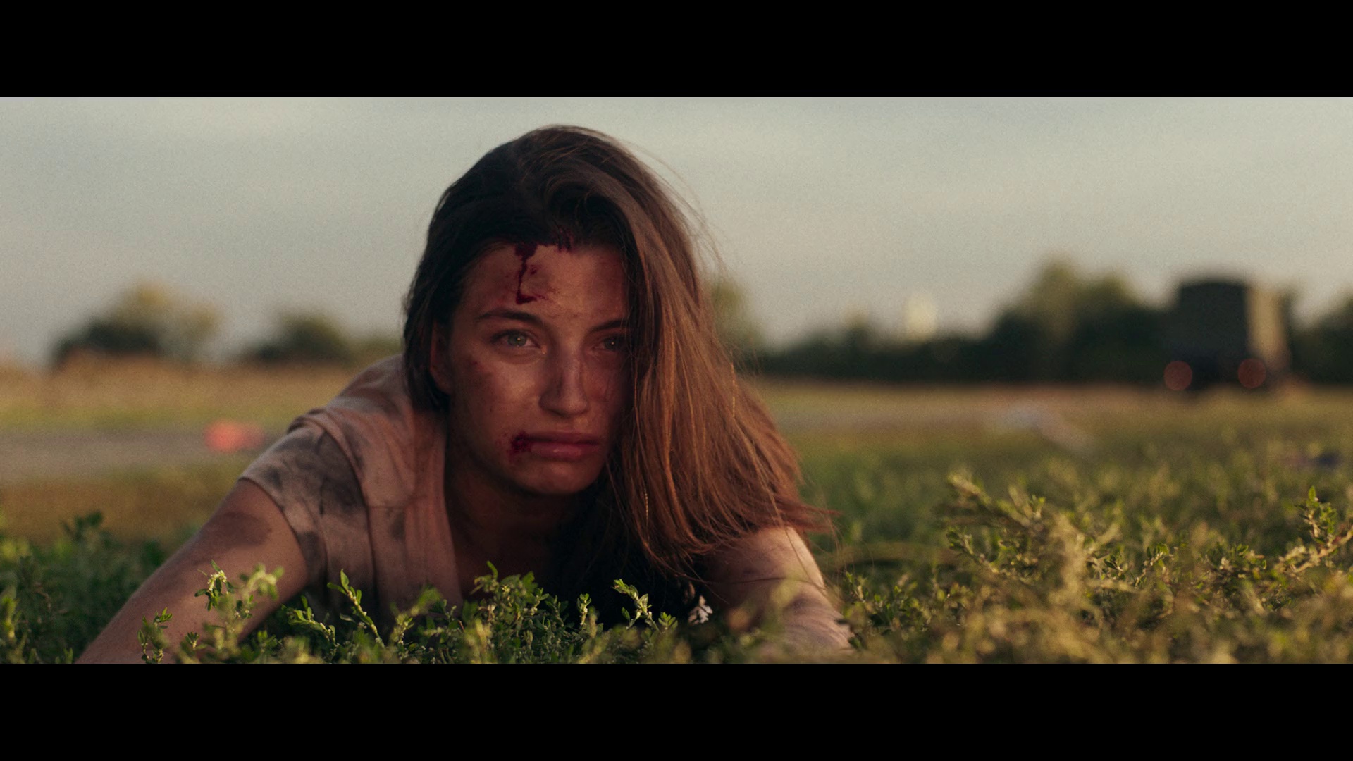 今夜林中无人入睡 [简繁英字幕].Nobody.Sleeps.in.the.Woods.Tonight.2020.1080p.NF.WEB-DL.DDP5.1.H264-PandaQT 5.92GB-6.png