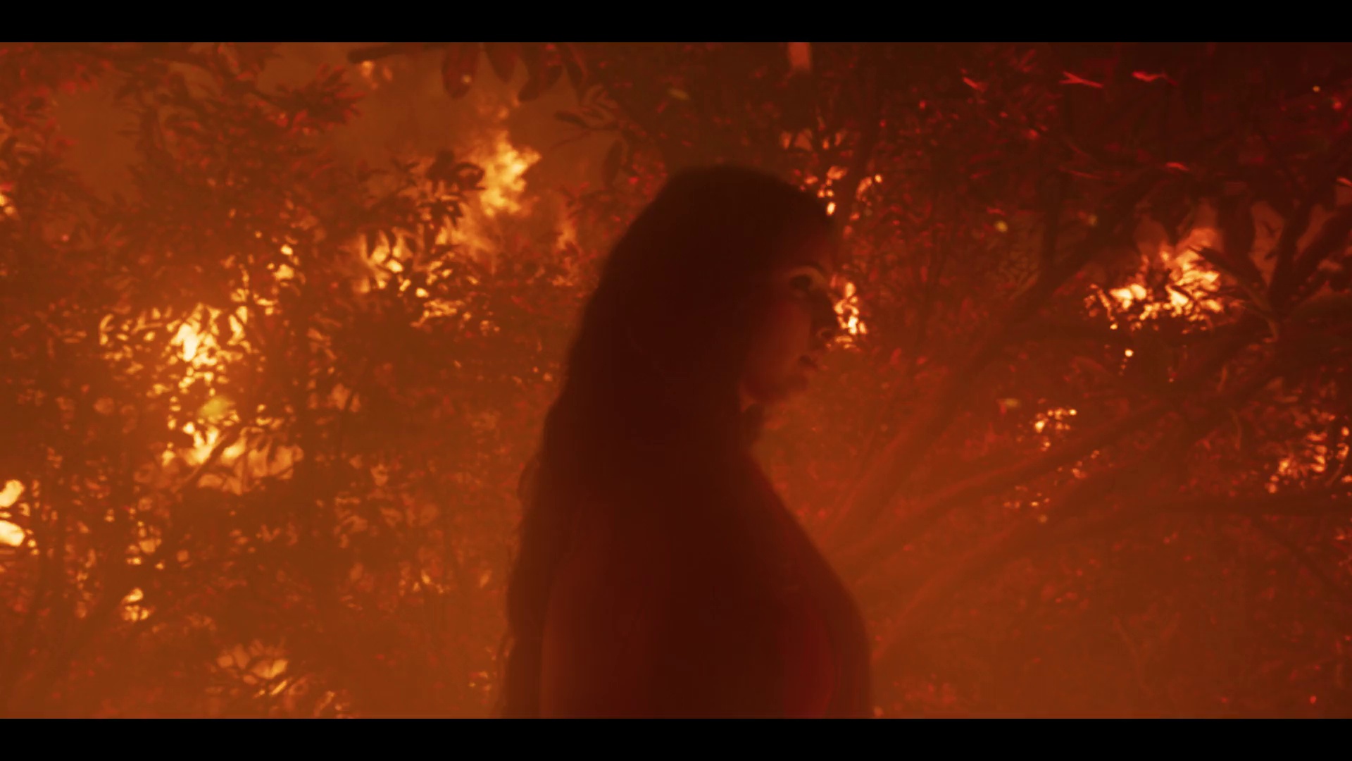 童养媳之谜 [简繁英字幕].Bulbbul.2020.1080p.NF.WEB-DL.DDP5.1.H264-PandaQT 4.12GB-7.png