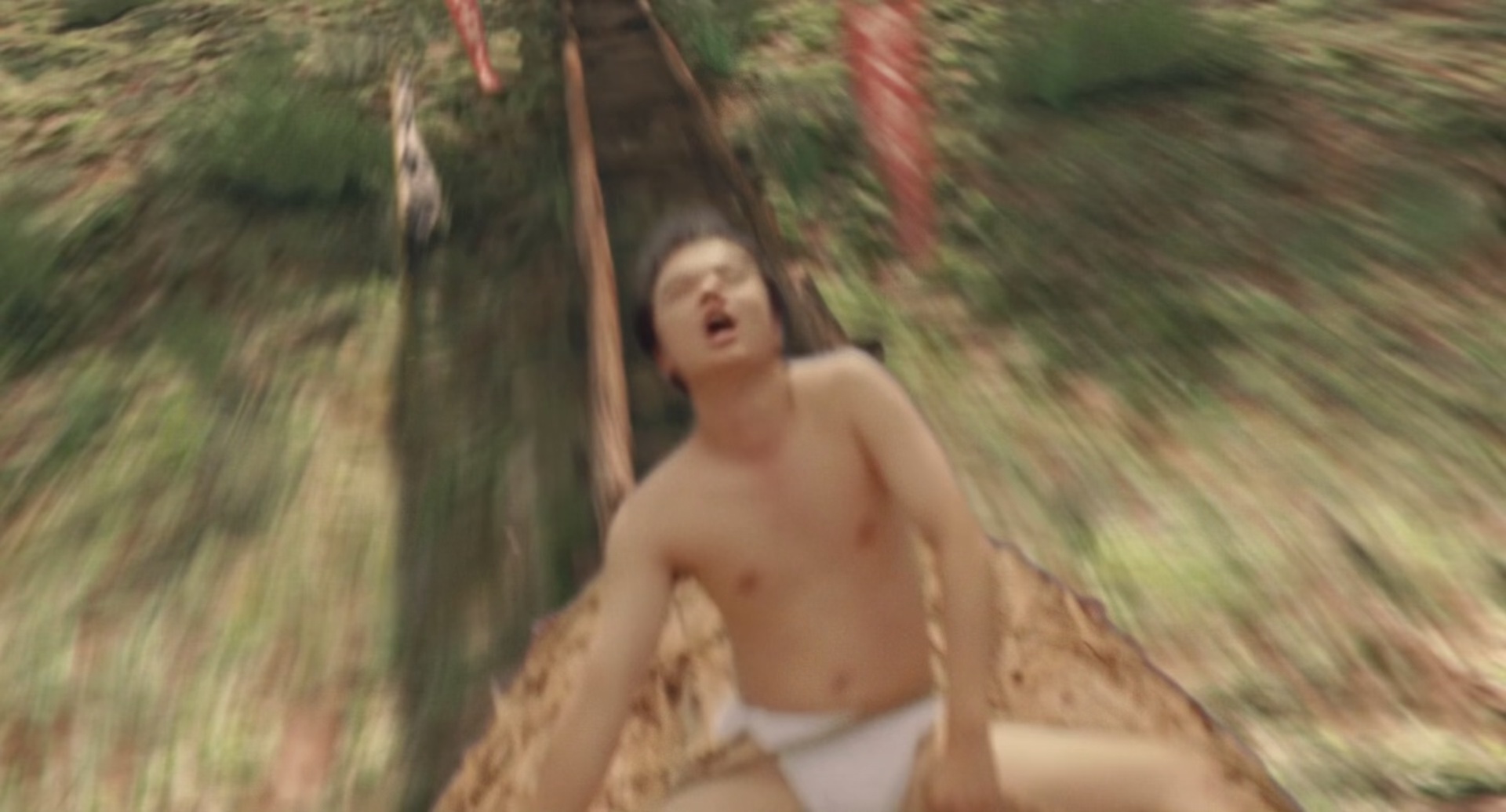 哪啊哪啊神去村 [中文字幕].Wood.Job!.2014.Bluray.1080p.DTS-HDMA5.1.x265.10bit-DreamHD 8.78GB-7.png