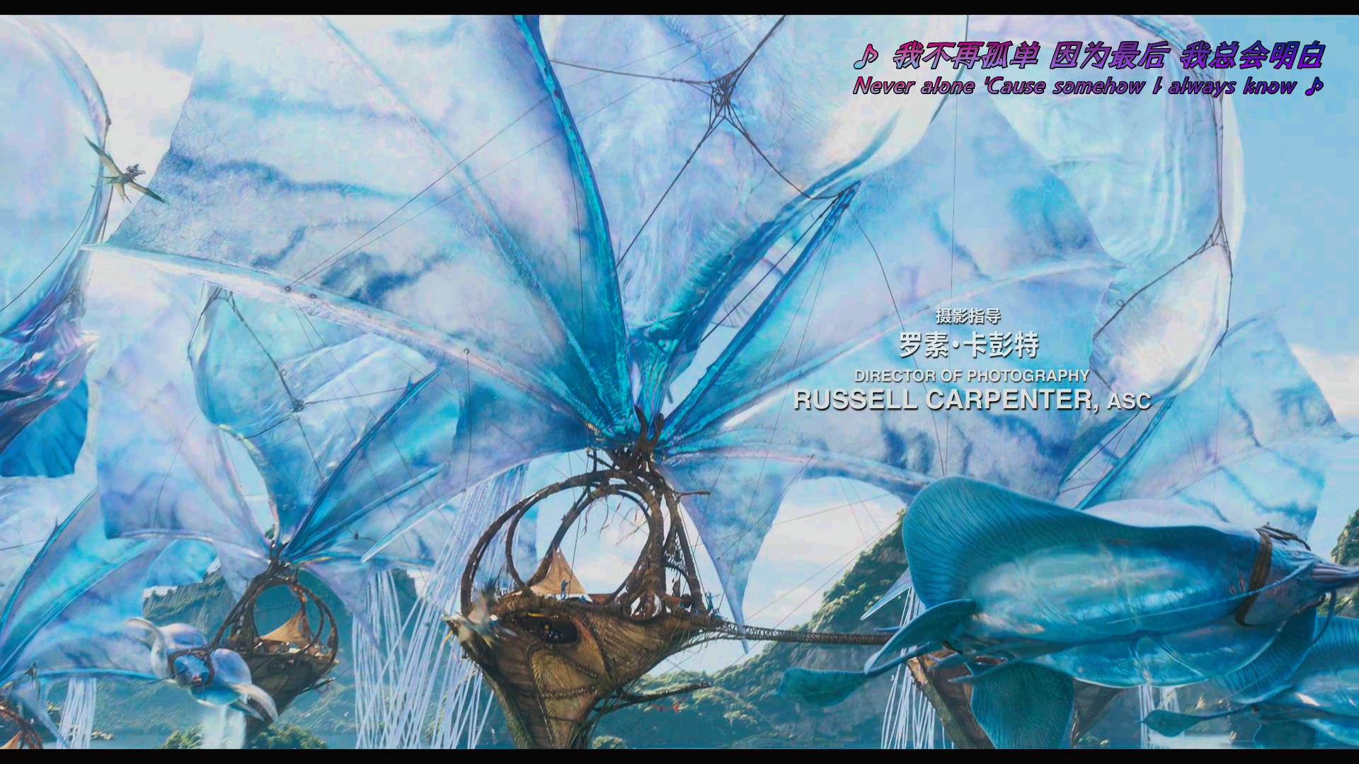 阿凡达：火与烬 | Avatar: Fire and Ash | 2025【DIY中影国配/国配特效/双语特效/繁体中文/粤语繁体/BDJ菜单修改】.Avatar.Fire.and.Ash.2025.2160p.UHD.Blu-ray.DoVi.HDR10.HEVC.TrueHD.7.1-TAG 86.73GB-17.jpg