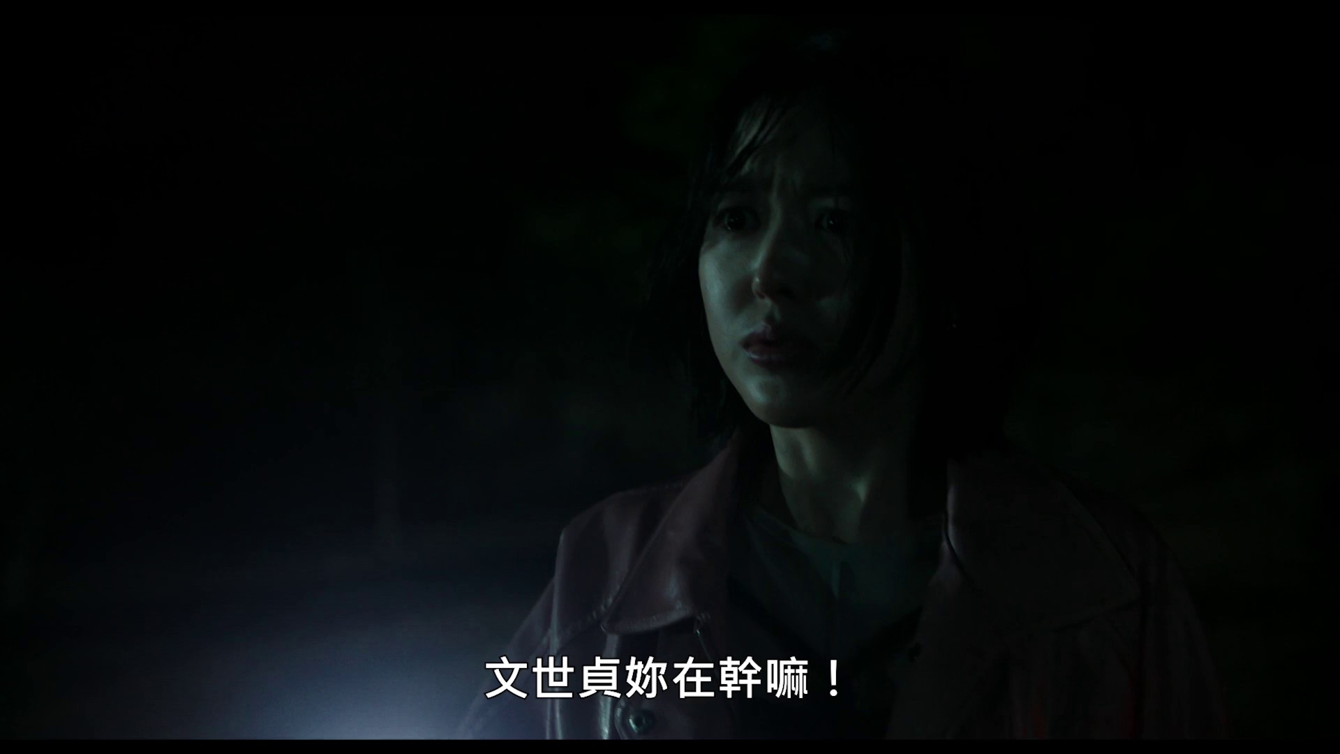 杀木池 [中文字幕].Salmokji.Whispering.Water.2026.1080p.HamiVideo.WEB-DL.AAC2.0.H.264-DreamHD 5.24GB-5.png