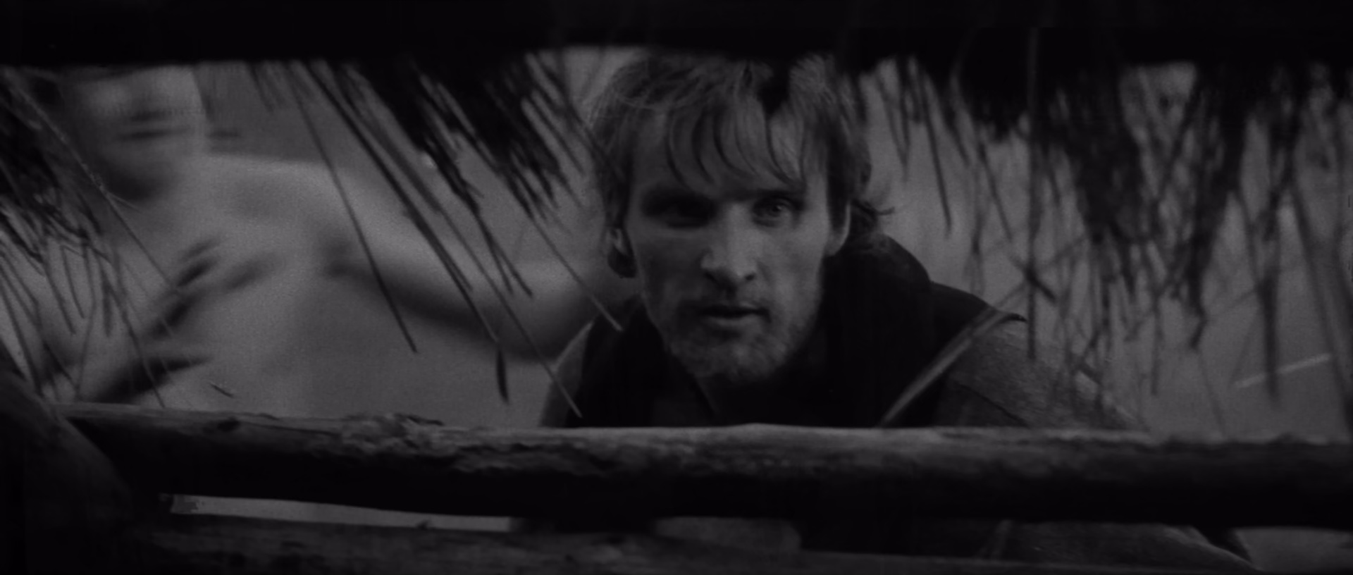 安德烈·卢布廖夫 [中文字幕].Andrei.Rublev.1966.BluRay.1080p.AC3.x265.10bit-DreamHD 12.84GB-3.png