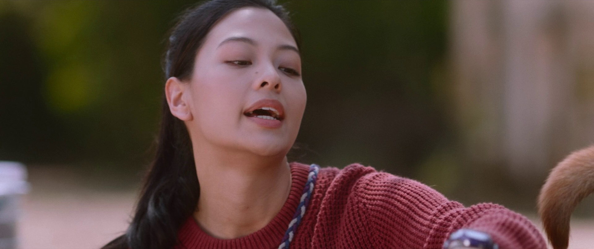 得宠先生 [国语音轨/中英字幕].An.Abandoned.Team.2024.Bluray.1080p.TrueHD5.1.x264-DreamHD 10.27GB-4.png