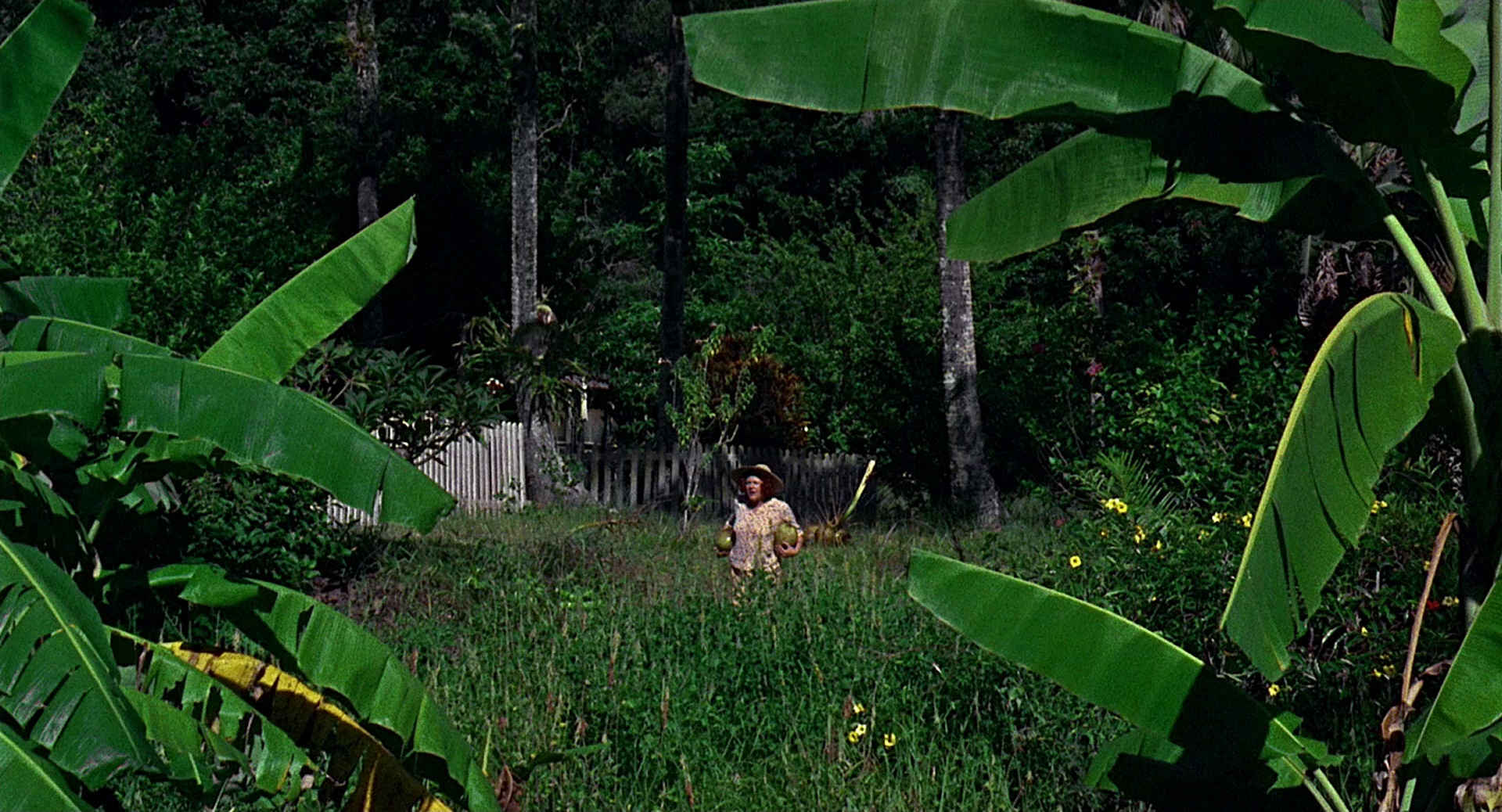 沙滩上的夏娃 [简繁英字幕].Age.of.Consent.1969.BluRay.1080p.LPCM.2.0.x264-DreamHD 10.47GB-3.png