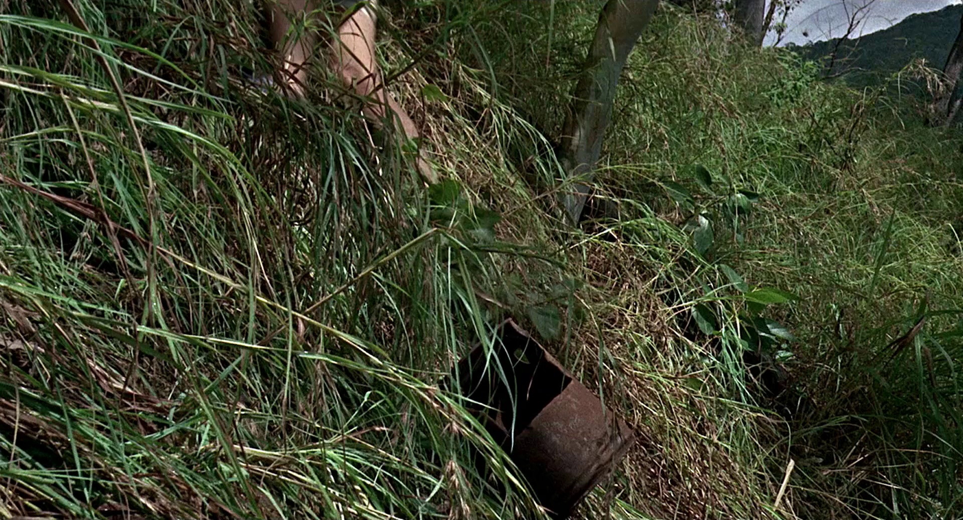 沙滩上的夏娃 [简繁英字幕].Age.of.Consent.1969.BluRay.1080p.LPCM.2.0.x264-DreamHD 10.47GB-7.png
