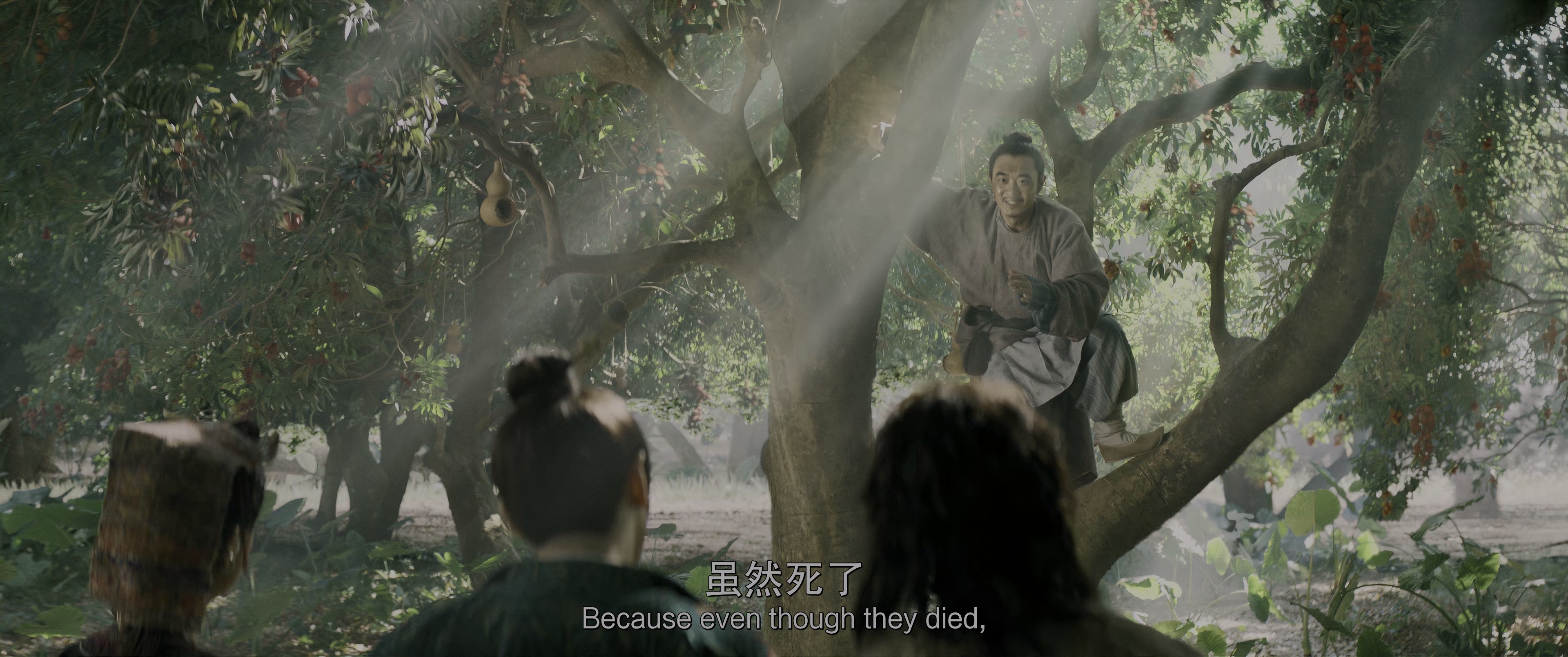 长安的荔枝 [IMAX满屏版][高码版][国语配音/中文字幕].2025.IMAX.2160p.YK.WEB-DL.H.265.HDR.HQ.DTS-UHD9.1-PandaQT 19.30GB-4.png