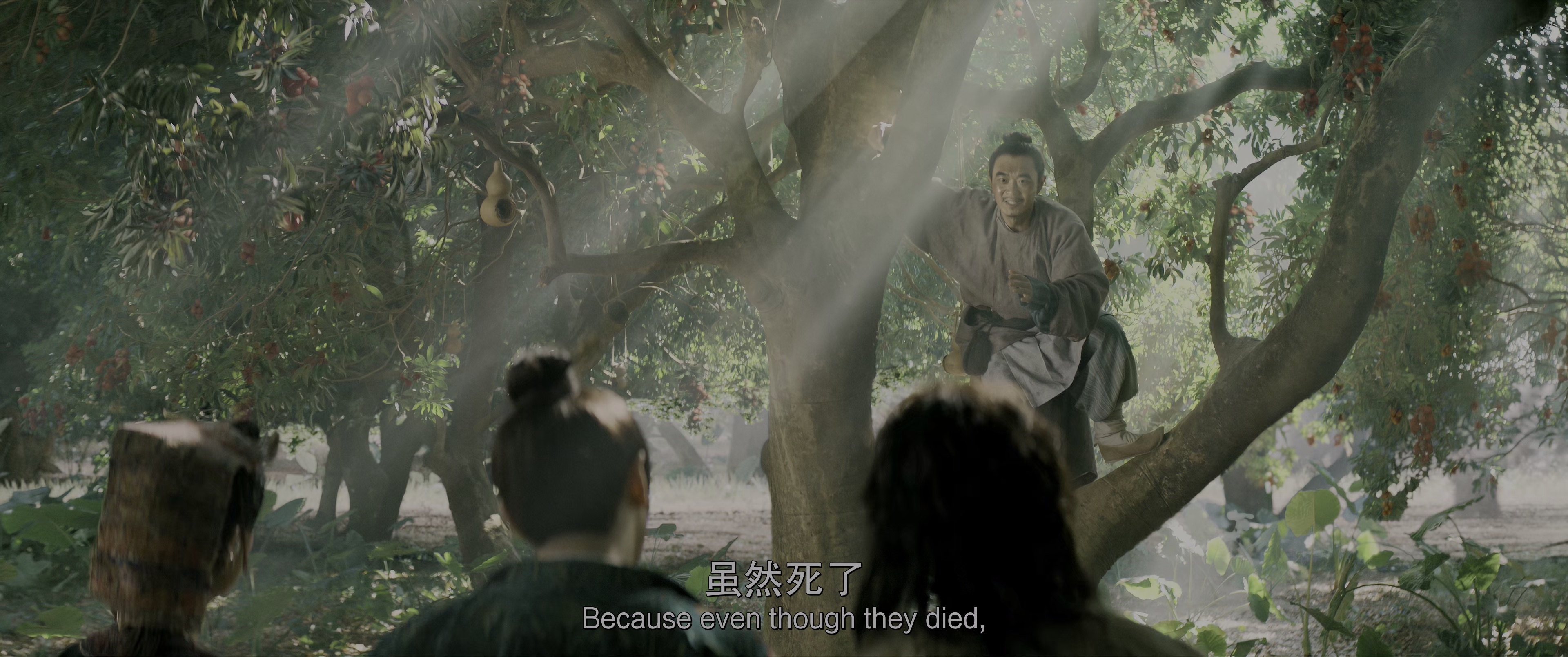 长安的荔枝 [60帧率版本][IMAX满屏版][高码版][国语配音/中文字幕].2025.IMAX.2160p.YK.WEB-DL.H.265.HDR.HFR.HQ.DTS-UHD9.1-PandaQT 22.05GB-4.png