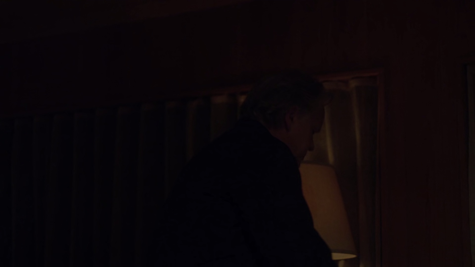 衍生玛约莉 [中文字幕].Marjorie.Prime.2017.BluRay.1080p.DTS-HD.MA.5.1.x265.10bit-DreamHD 4.20GB-4.png