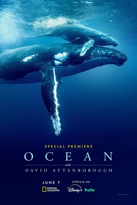 大卫·爱登堡：海洋 [简繁英字幕].Ocean.with.David.Attenborough.2025.1080p.BluRay.x264.DTS-HD.MA.5.1-ParkHD 8.39GB-1.png