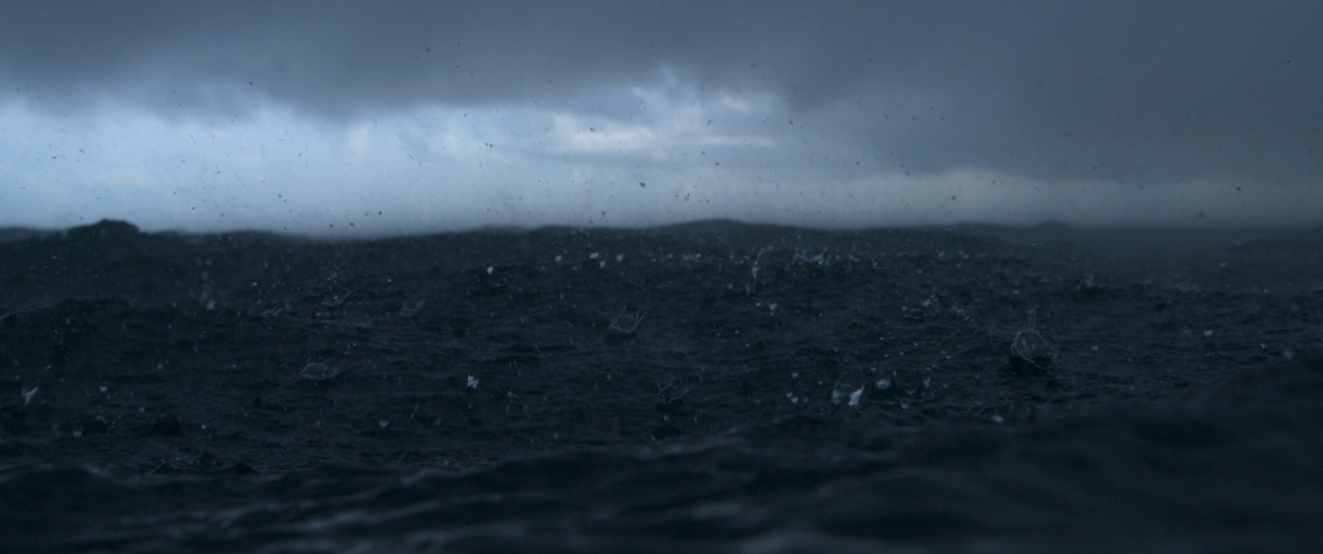 大卫·爱登堡：海洋 [简繁英字幕].Ocean.with.David.Attenborough.2025.1080p.BluRay.x264.DTS-HD.MA.5.1-ParkHD 8.39GB-3.png