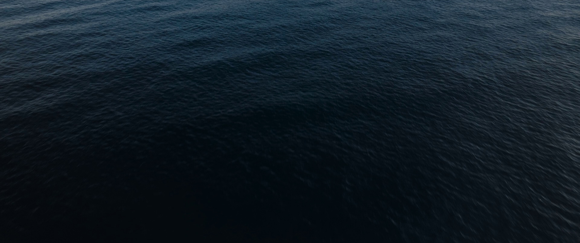 大卫·爱登堡：海洋 [简繁英字幕].Ocean.with.David.Attenborough.2025.1080p.BluRay.x264.DTS-HD.MA.5.1-ParkHD 8.39GB-5.png