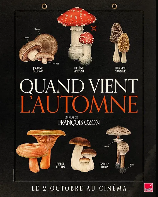 秋日何时来 [中文字幕].Quand.Vient.L.Automne.2024.Bluray.1080p.DTS-HDMA5.1.x264-DreamHD 13.79GB-1.png