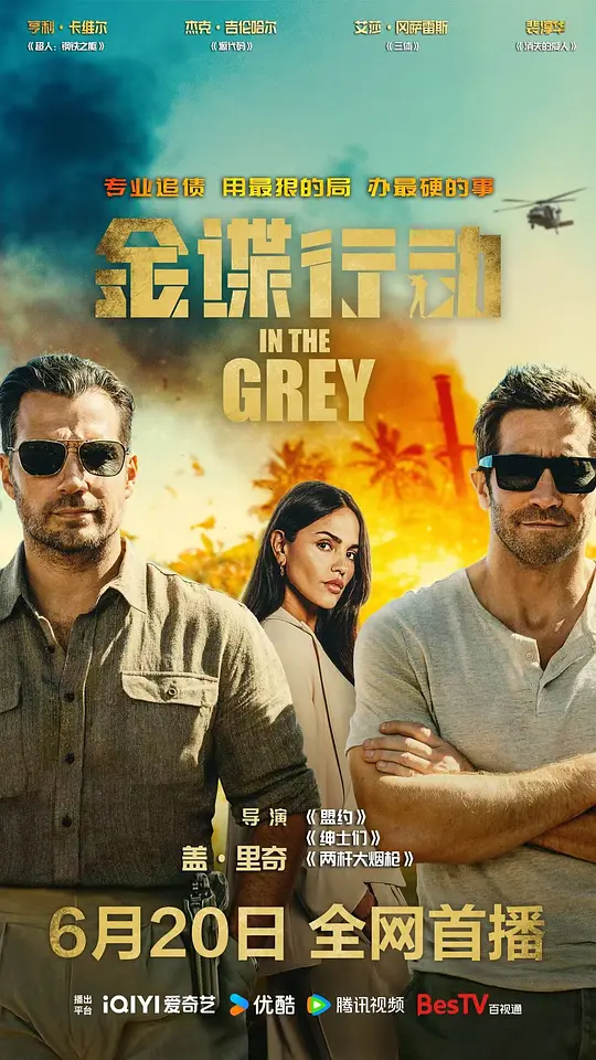 金谍行动 [中文字幕].In.the.Grey.2026.BluRay.1080p.AAC.x264-DreamHD 2.84GB-1.png