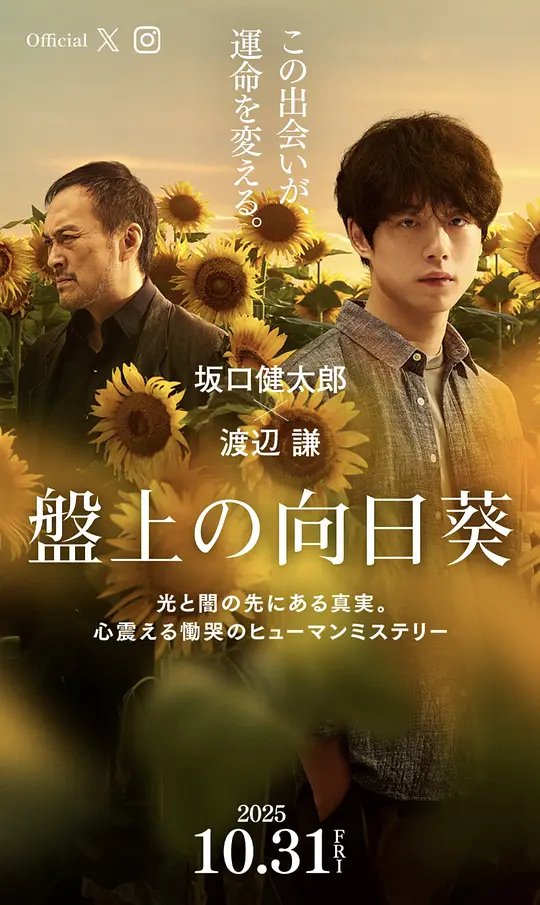 棋盘上的向日葵 [中文字幕].The.Final.Piece.2025.1080p.WEB-DL.H.264.AAC2.0-PandaQT 8.37GB-1.png