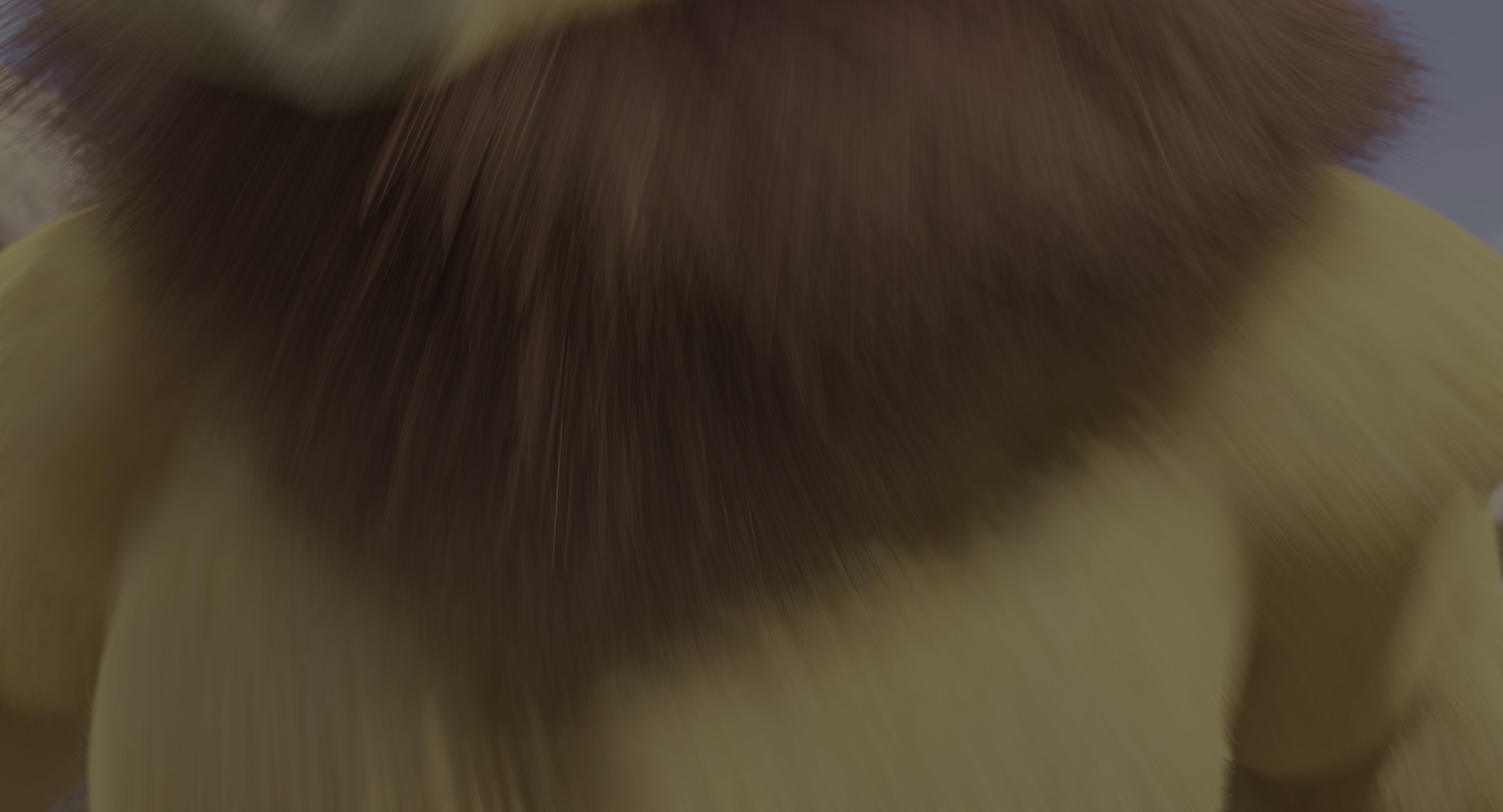 004.jpg