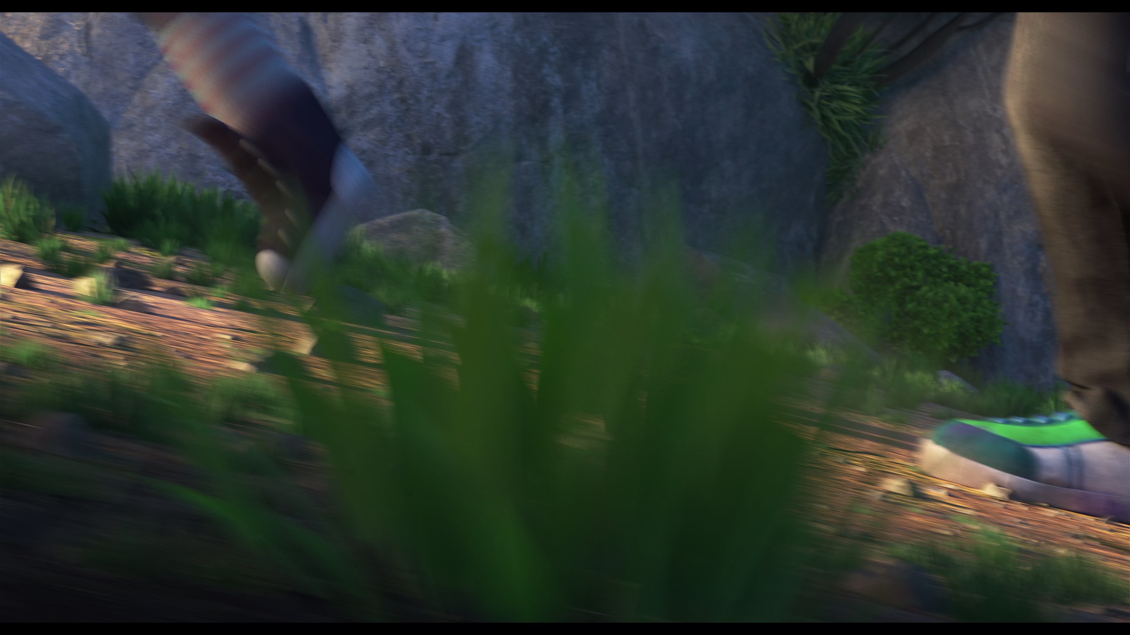 004.jpg
