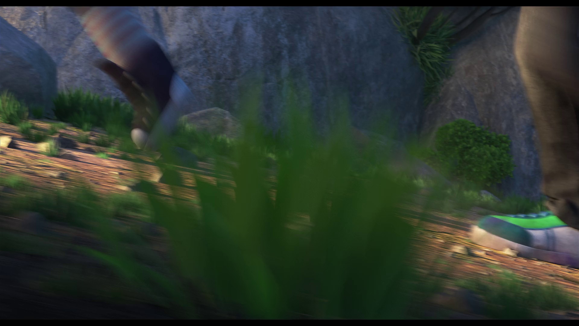 004.jpg