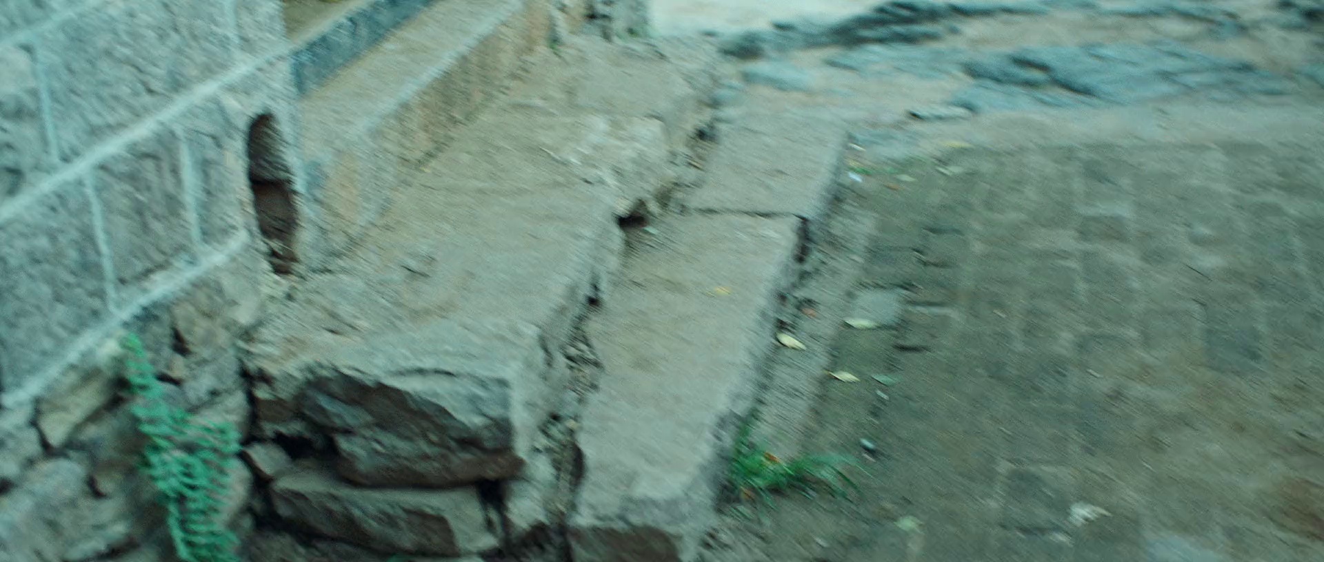 004.jpg